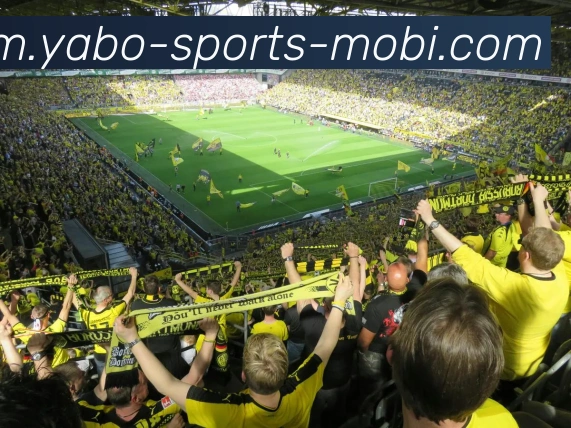 亚博体育APP 封面图